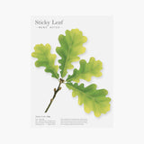 Appree - Sticky Notes | Green Oak Leaf | Size L