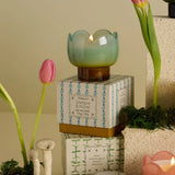 Paddywax – Scented Candle Tulip 2oz/56g Printed Tin Candle | Wisteria & Willow