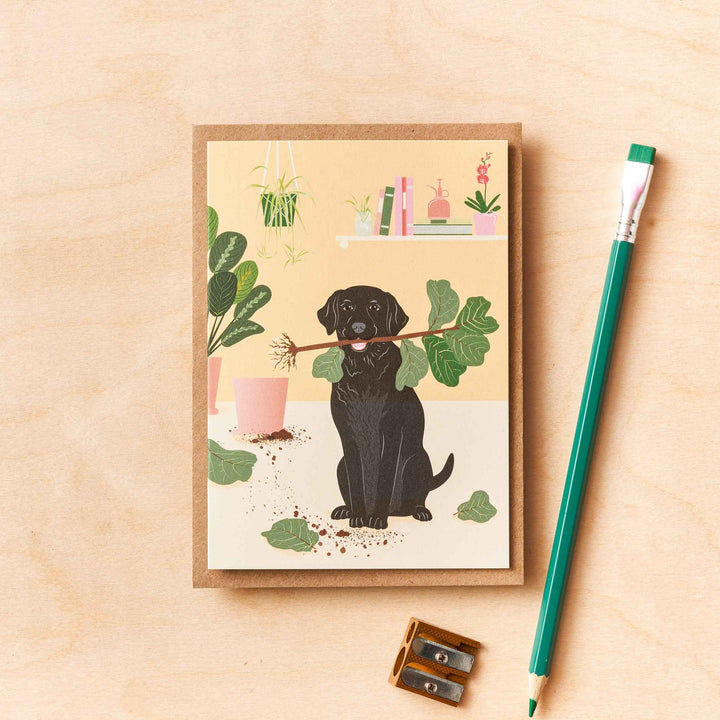 another studio - Greeting card | Labrador A game of fetch