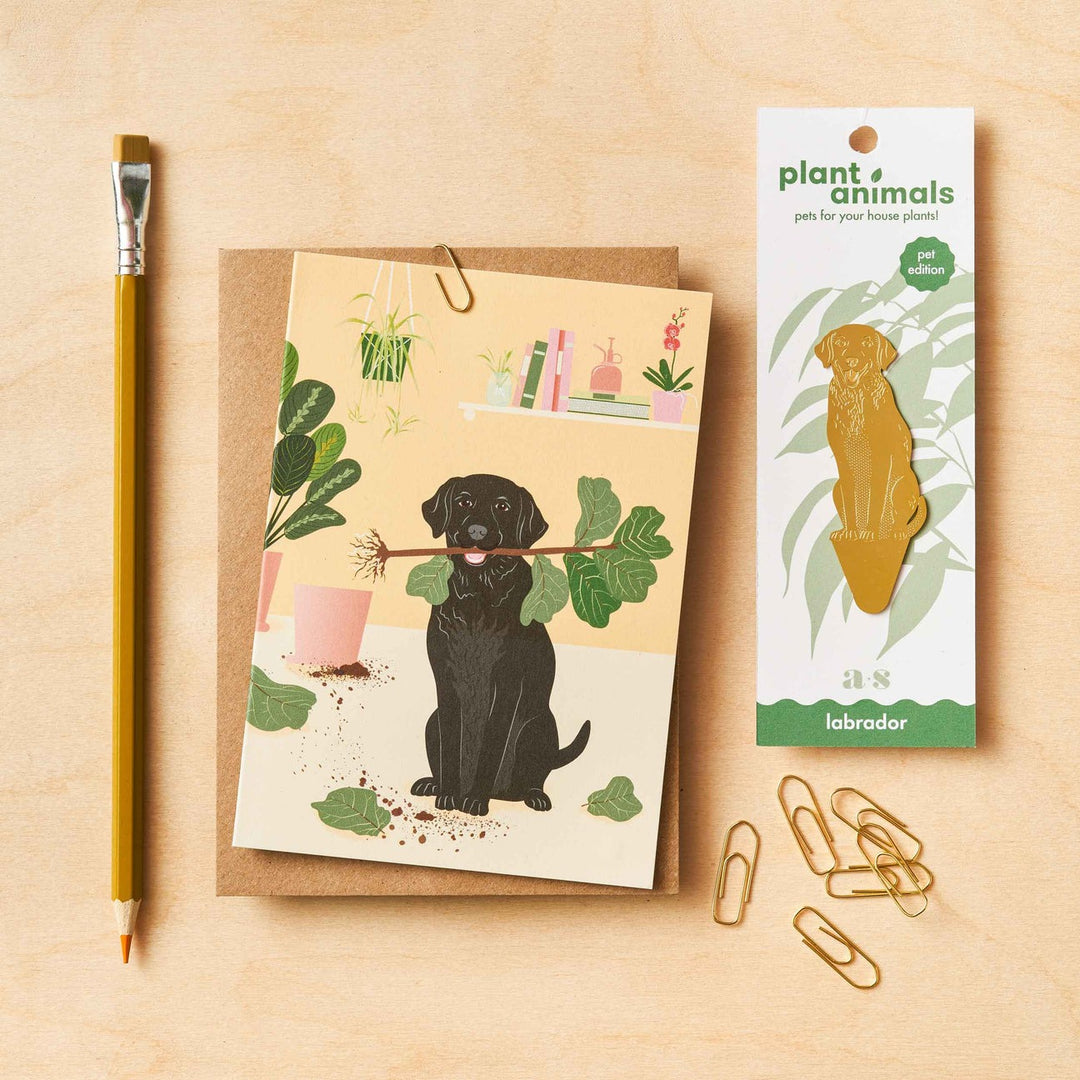 another studio - Greeting card | Labrador A game of fetch