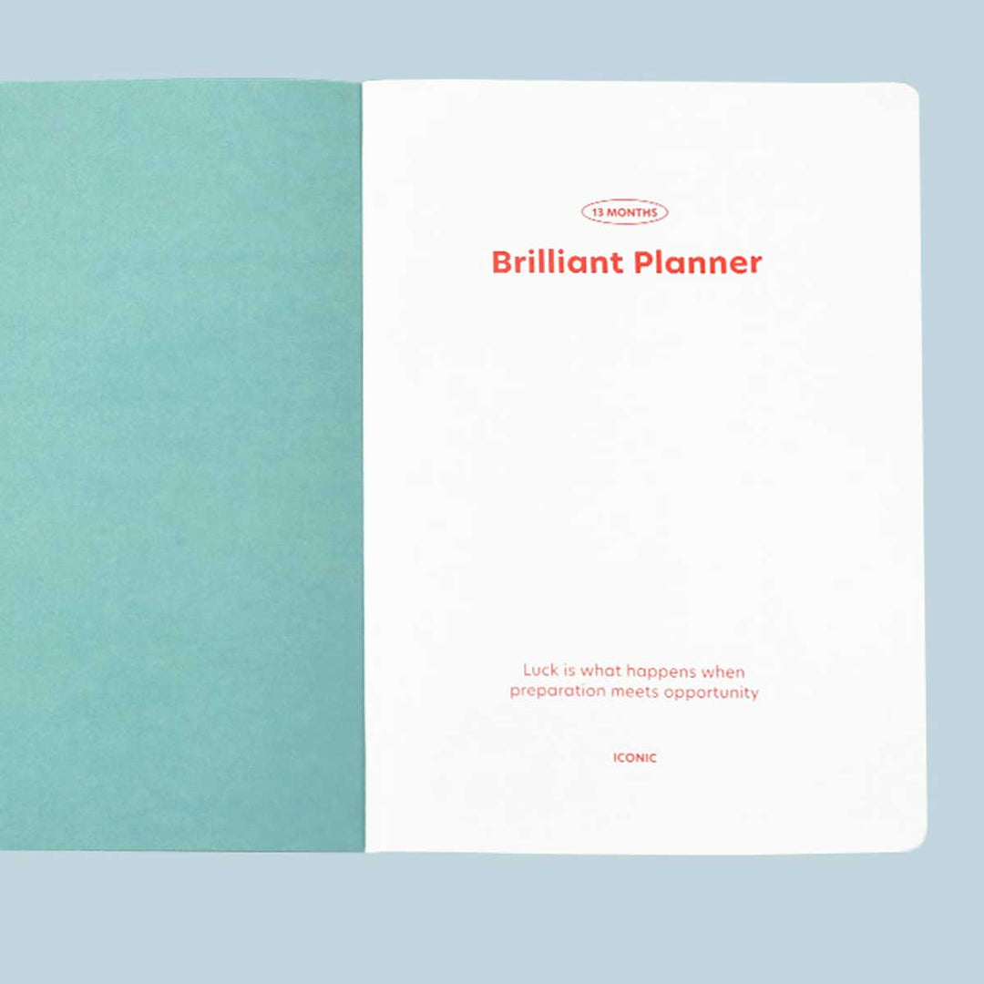Iconic Brilliant Daily Planner Agenda Diaria 2024 | Dic 23 a Dic24 | Vintage Mint