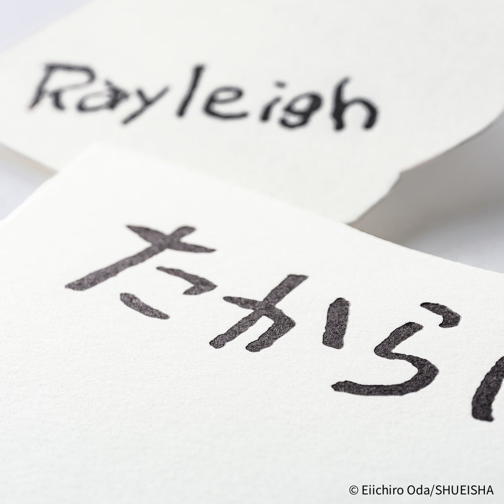 Hobonichi - Set de tarjetas letterpress | ONE PIECE magazine: Vivre Card & Treasure Tab · detalle 5