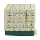 Paddywax – 5.5oz/155g Glass Tulip Scented Candle | Green and Dark Green - Verbena & Lemongrass