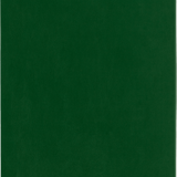 Moleskine - Cuaderno Classic XL 19x25 cm Tapa blanda | Verde