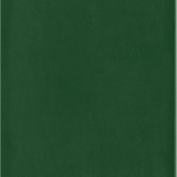 Moleskine - Diary Classic 2025 Large A5 Daily, Soft Cover | Jan - Dec 25 | Green