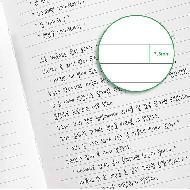 Iconic Cuaderno Souvenir B6 | Hojas con Líneas | Sage Green