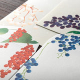 Midori -  Envelopes Winter Limited Edition | Envelope 001 Four Designs Winter Fruit