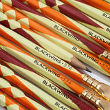 Blackwing - Volume 574 Edición Limitada | Unit