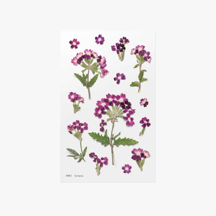 Appree - Pressed Flower Stickers | Verbena