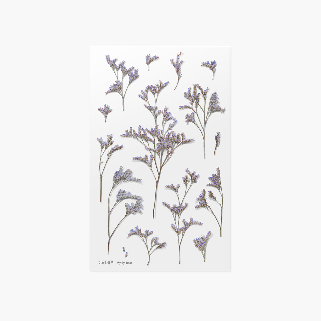 Appree - Pressed Flower Stickers | MIsty Blue