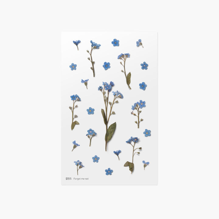 Appree - Pressed Flower Stickers | Forget-me-not