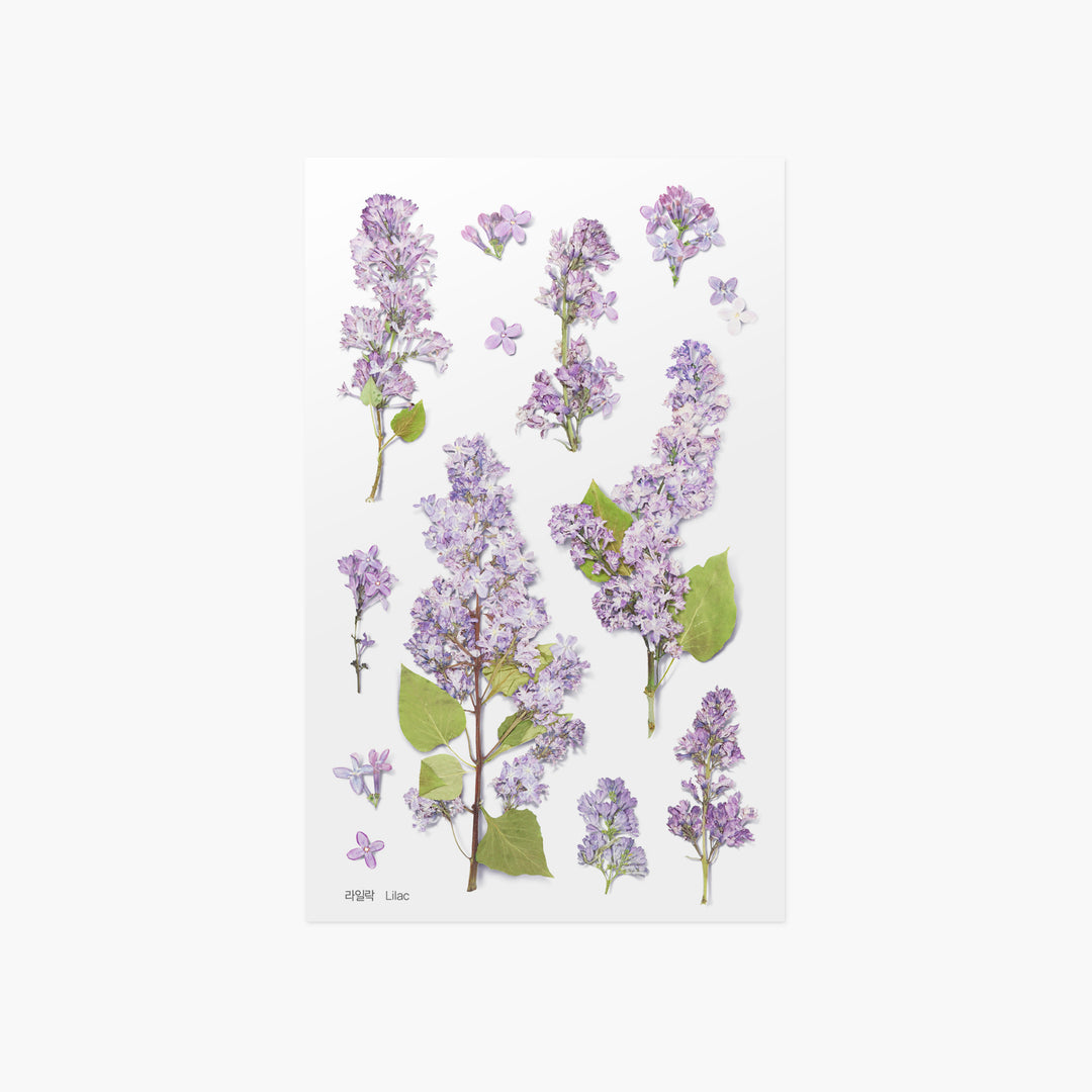 Porta documentos Flowers Lilac
