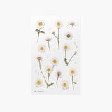 Appree - Pressed Flower Stickers | Daisy