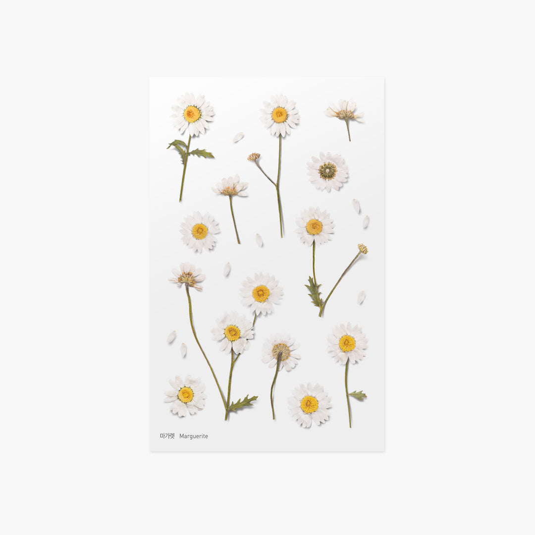 Appree - Pressed Flower Stickers | Daisy