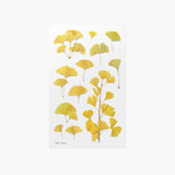 Appree - Flores Prensadas Pegatinas | Ginkgo