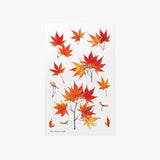 Appree - Pressed Flower Stickers | Palmate Maple