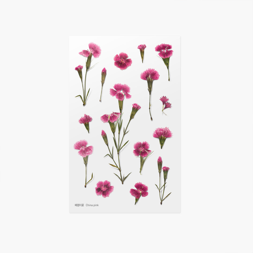 Appree - Pressed Flower Stickers | China Pink
