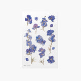 Appree - Flores Prensadas Pegatinas | Larkspur