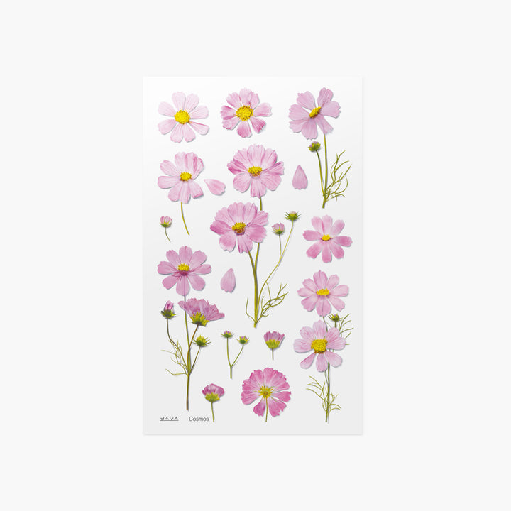 Appree - Pressed Flower Stickers | Cosmos