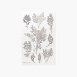 Appree - Flores Prensadas Pegatinas | Dusty miller