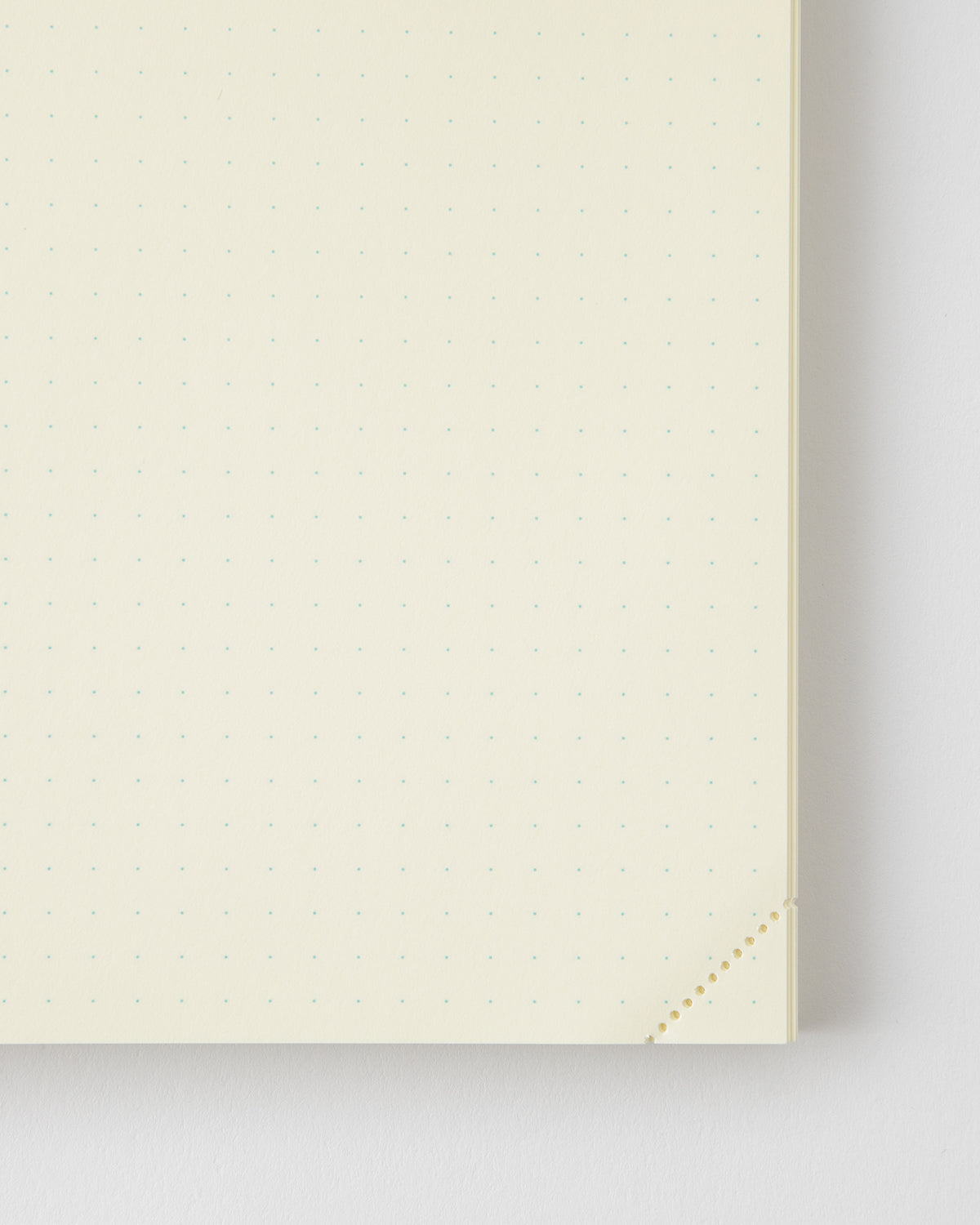 MD Product - MD Notebook Codex 1 Day 1 Page A5 | Malla de puntos