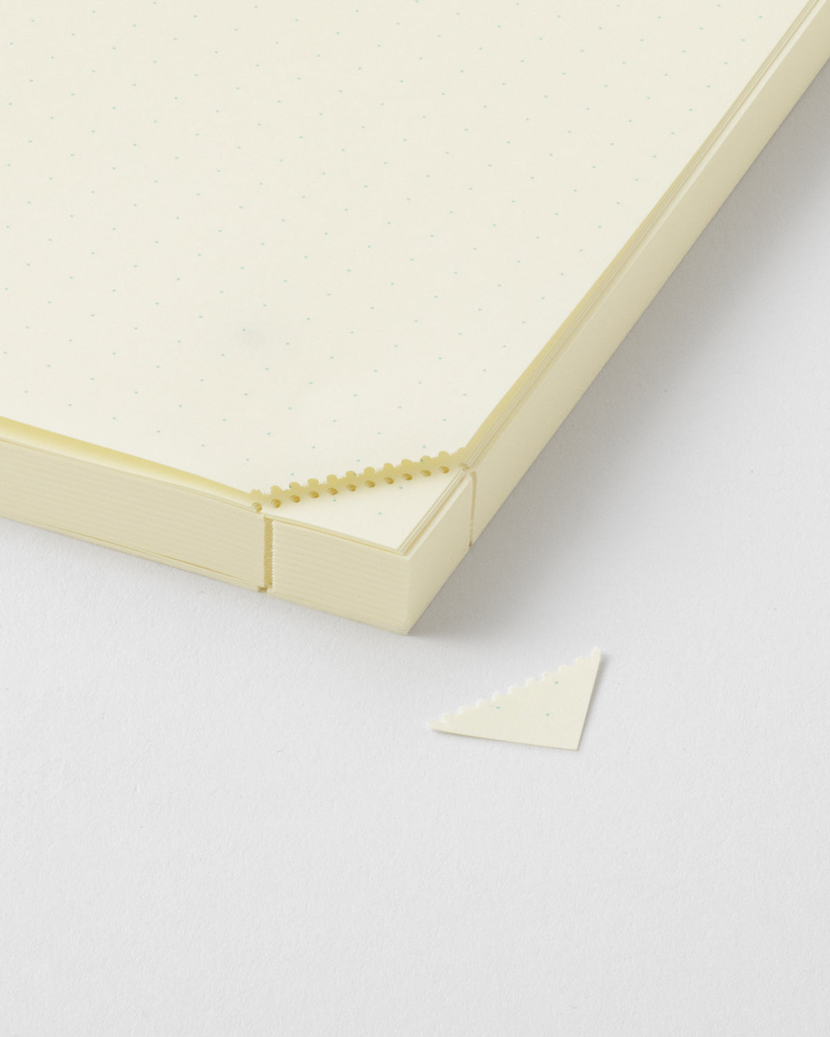 MD Product - MD Notebook Codex 1 Day 1 Page A5 | Malla de puntos