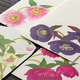 Midori -  Envelope 150 Four Designs Christmas Rose