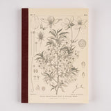 Hobonichi - Cuaderno Tomitaro Makino: Hobonichi Graph Notebook (A5) - Yamazakura