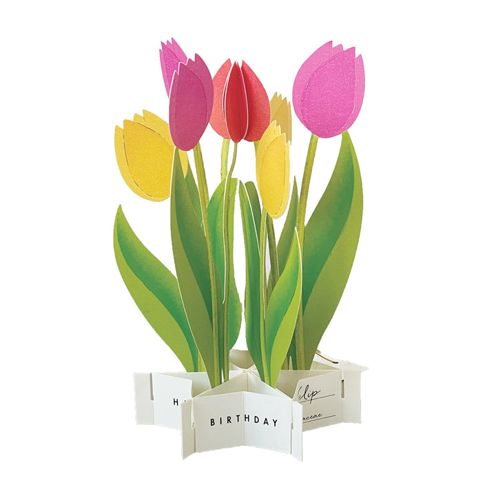 Greeting Life Inc - Blooming Card Tarjeta de felicitación de Cumpleaños  | Tulipanes