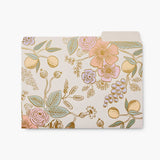 Rifle Paper Co. -  Set de 6 Folders | Colette