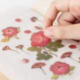 Appree - Flores Prensadas Pegatinas | Rosa
