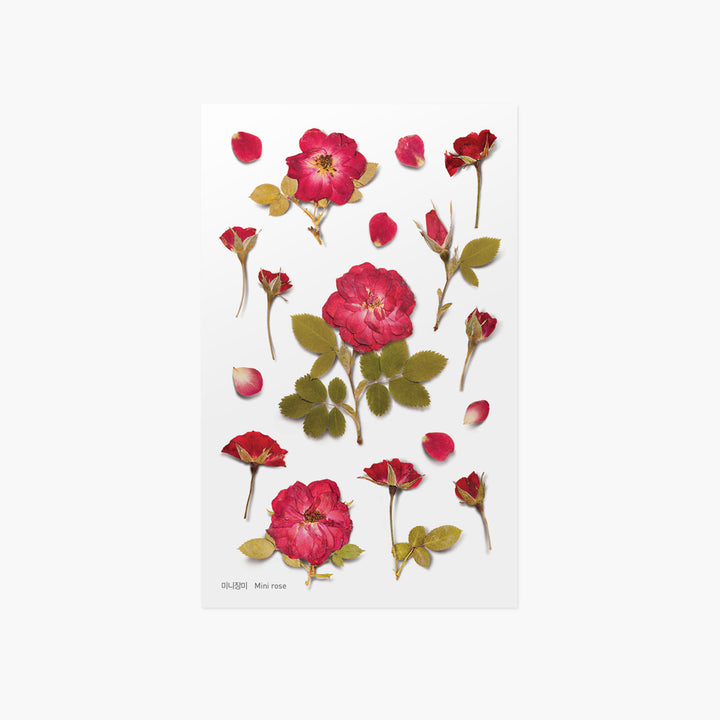 Appree - Flores Prensadas Pegatinas | Rosa