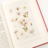 Appree - Flores Prensadas Pegatinas | Flor de Cerezo
