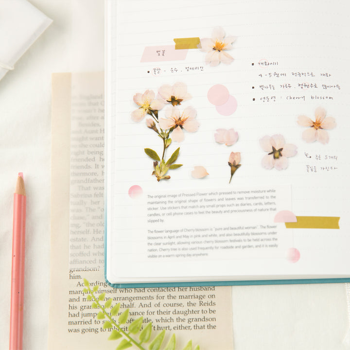 Appree - Pressed Flower Stickers | Cherry Blossom