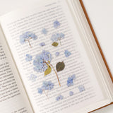 Appree - Flores Prensadas Pegatinas | Hortensia