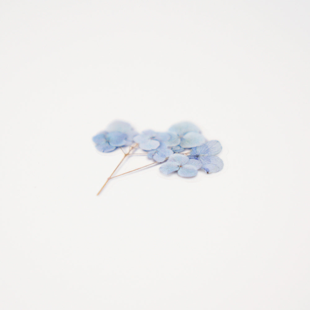 Appree - Pressed Flower Stickers | Hydrangea