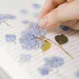 Appree - Flores Prensadas Pegatinas | Hortensia