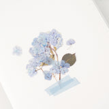 Appree - Flores Prensadas Pegatinas | Hortensia