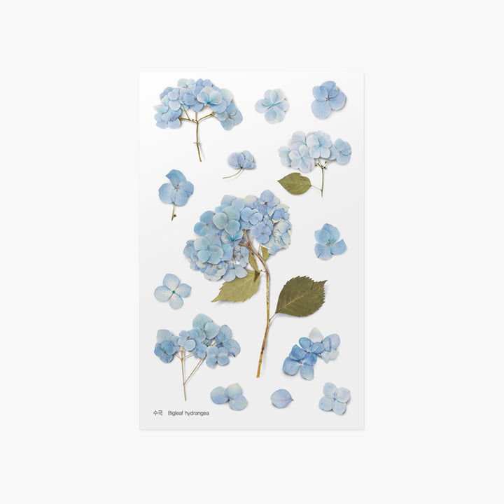 Appree - Pressed Flower Stickers | Hydrangea