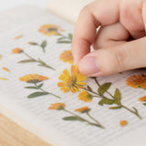 Appree - Pressed Flower Stickers | Calendula