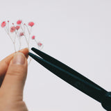 Appree - Pressed Flower Stickers | Gypsophila