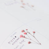 Appree - Pressed Flower Stickers | Gypsophila