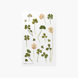 Appree - Flores Prensadas Pegatinas | Trébol de Cuatro Hojas