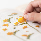 Appree - Flores Prensadas Pegatinas | Freesia