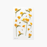 Appree - Flores Prensadas Pegatinas | Freesia