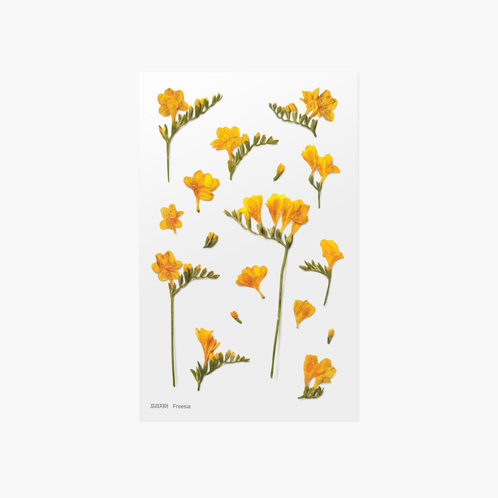 Appree - Pressed Flower Stickers | Freesia