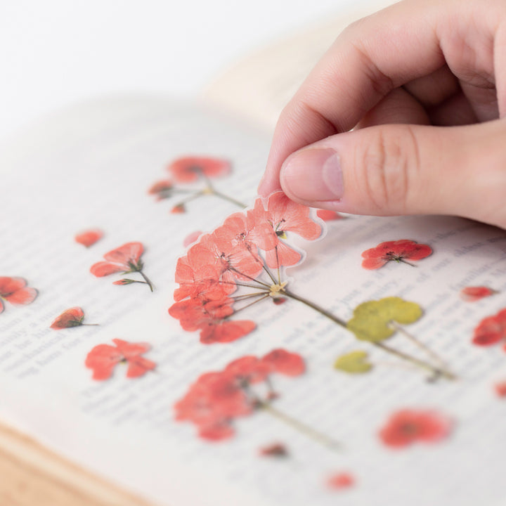 Appree - Pressed Flower Stickers | Geranium
