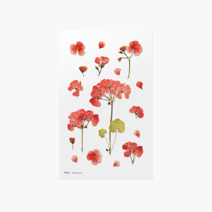 Appree - Pressed Flower Stickers | Geranium