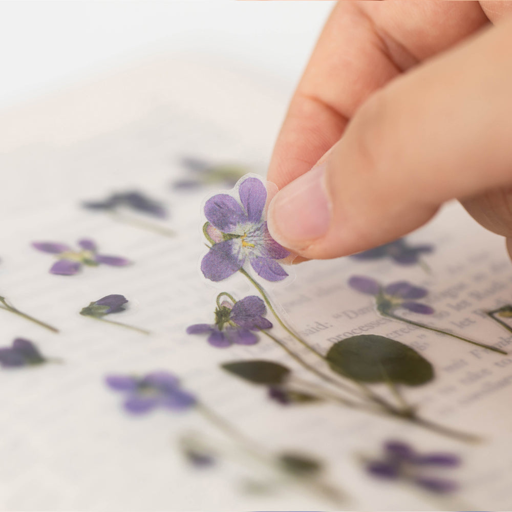 Appree - Flores Prensadas Pegatinas | Violeta de Manchuria