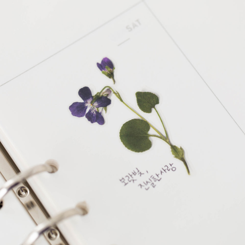 Appree - Pressed Flower Stickers | Manchurian Violet